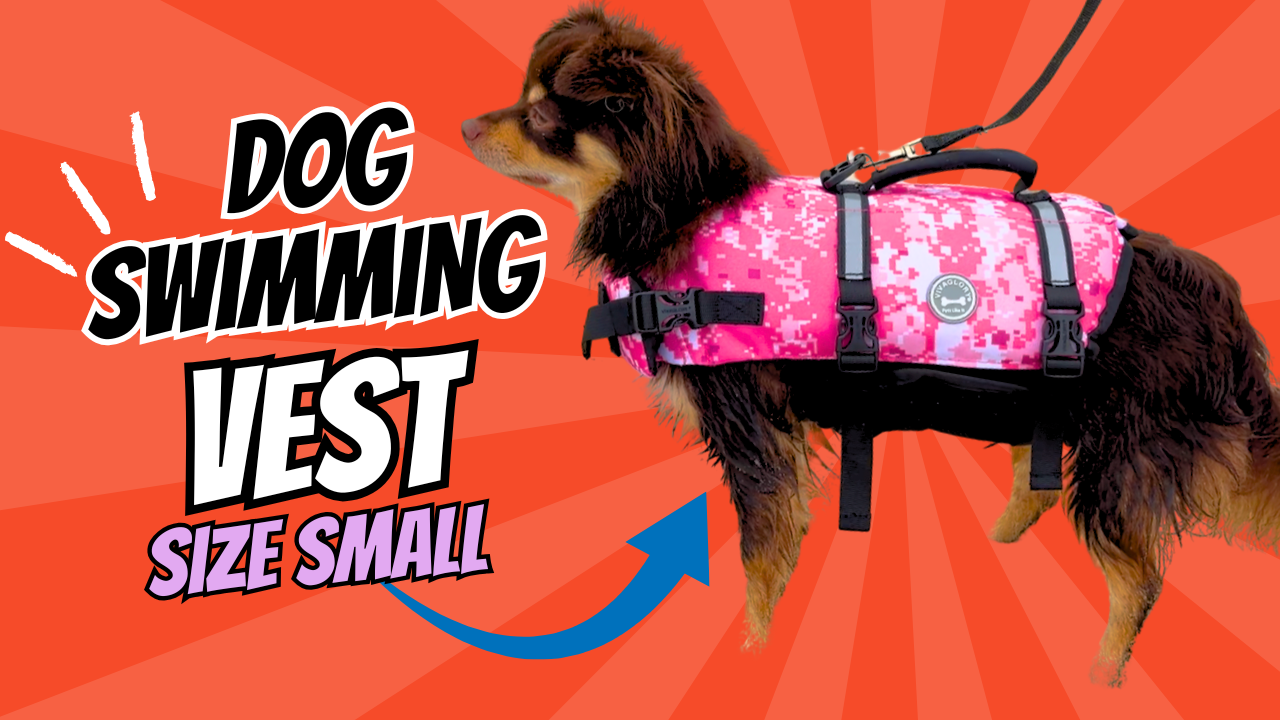 VIVAGLORY Dog Life Vest - Adjustable Swimming Jacket