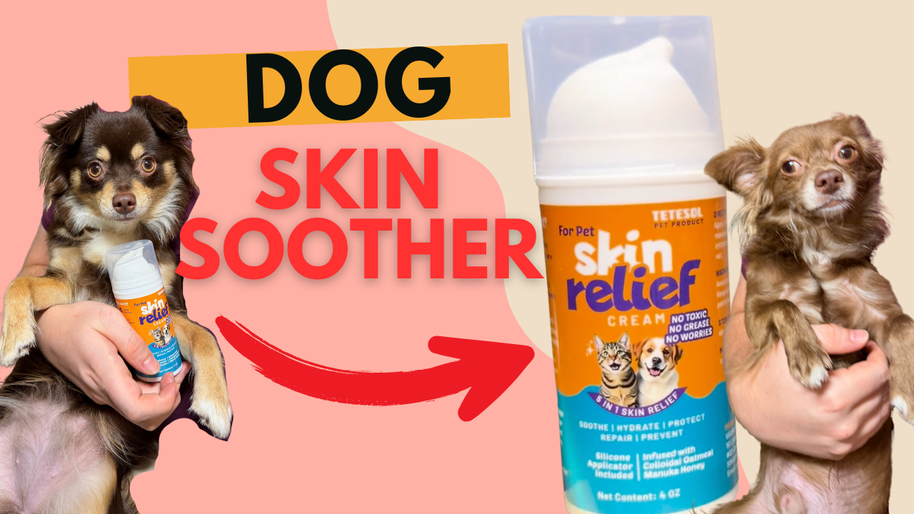 Dry Itchy Skin Relief for Dogs & Cats