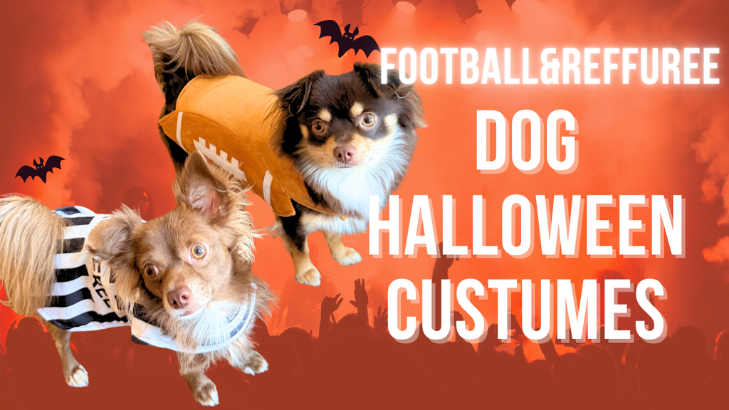Rubie’s Football Pet Costume for Dogs and Cats
