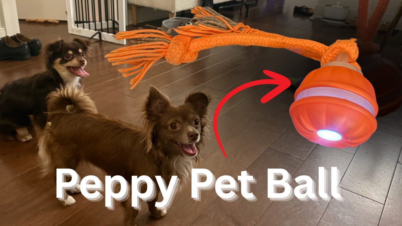 Salodal Peppy Pet Ball — Motion‑Activated Dog Toy