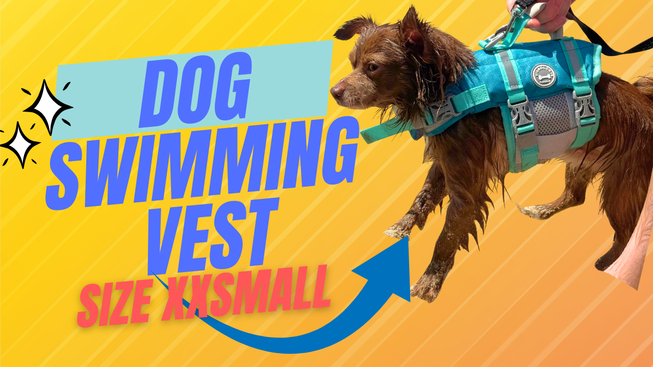 Vivaglory Ripstop Dog Life Vest - High Visibility, Rescue Handle