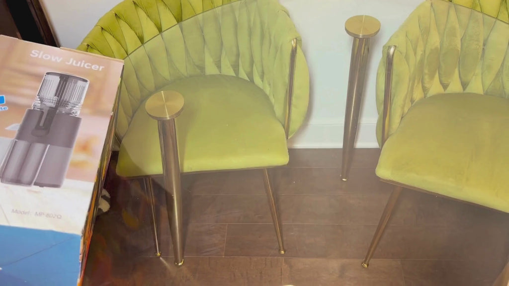 IIUIPI Cold Press Juicer - Slow Masticating Juicer